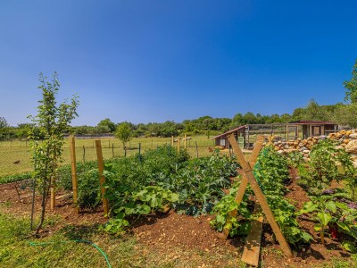 Holiday house Franolic with swimming pool - Outdoor photo 16