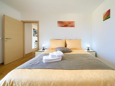 Villa NATHALIE with private pool, jacuzzi and outdoor sauna - Features photo 18