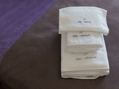 Villa NATHALIE with private pool, jacuzzi and outdoor sauna - Features photo 27