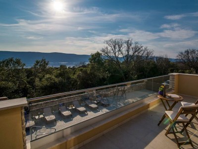 Villa Laura with a private pool - Outdoor photo 12