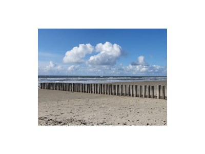 Holiday apartment Westkant 48 Buren - Environment photo 15