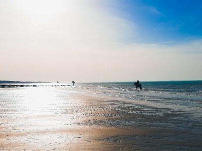 Holiday house ZO03 Holiday home apartment with pet - Environment photo 23