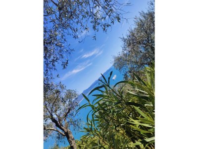 Holiday apartment Casa dell'arte - Environment photo 24