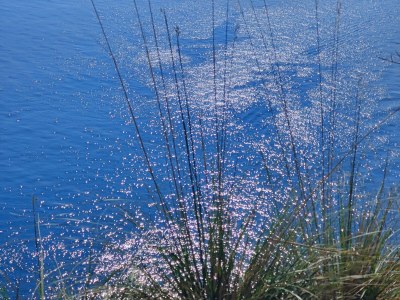 Holiday apartment Casa dell'arte - Environment photo 27