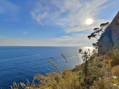 Holiday apartment Casa dell'arte - Environment photo 28