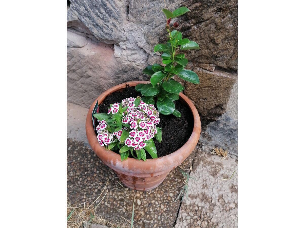 Holiday apartment Holiday apartment on the Haßlach - Outdoor photo 2