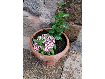 Holiday apartment Holiday apartment on the Haßlach - Outdoor photo 2