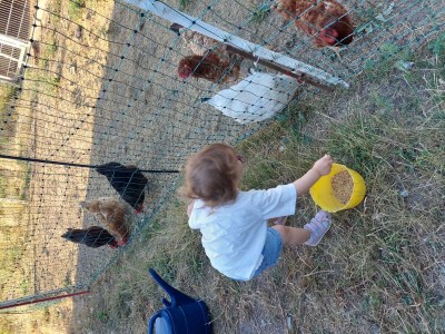 Holiday apartment Holiday apartment on the Haßlach - Outdoor photo 9