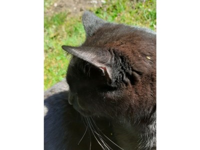 Holiday apartment Holiday apartment on the Haßlach - Outdoor photo 10