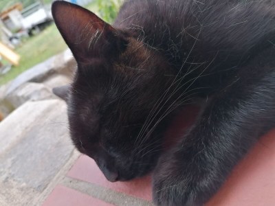 Holiday apartment Holiday apartment on the Haßlach - Environment photo 21