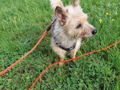 Holiday apartment Holiday apartment on the Haßlach - Environment photo 22