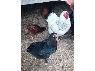 Holiday apartment Holiday apartment on the Haßlach - Environment photo 23