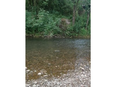 Holiday apartment Holiday apartment on the Haßlach - Environment photo 24