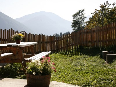 Holiday apartment Bergbauernhof Mitteregghaus - Outdoor photo 3