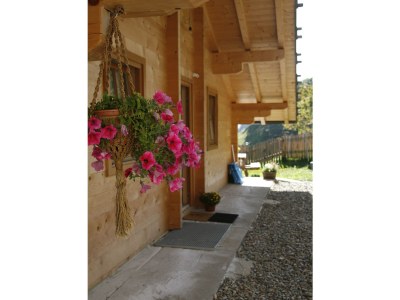 Holiday apartment Bergbauernhof Mitteregghaus - Outdoor photo 5