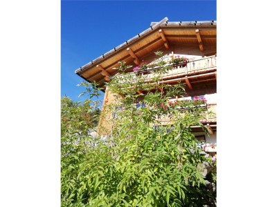 Holiday apartment Bergbauernhof Mitteregghaus - Outdoor photo 7