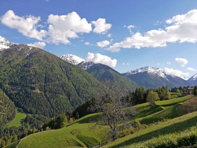 Holiday apartment Bergbauernhof Mitteregghaus - Environment photo 15