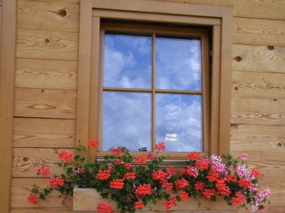 Holiday apartment Bergbauernhof Mitteregghaus - Environment photo 18