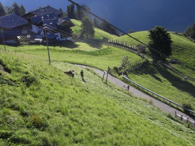 Holiday apartment Bergbauernhof Mitteregghaus - Environment photo 21