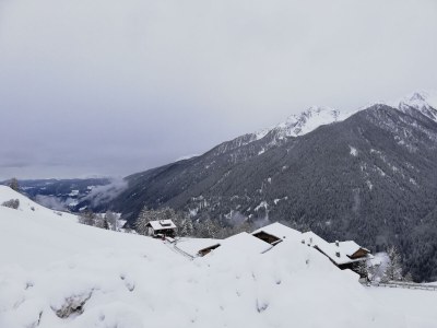 Holiday apartment Bergbauernhof Mitteregghaus - Environment photo 23