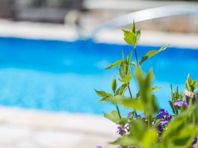 Villa Vital Vizinada - Features photo 22