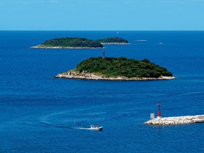 Villa Vital Vizinada - Environment photo 28