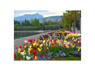 Holiday apartment Rambaldi Apartments Ed. 6 - Environment photo 18