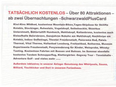 Apartment Wohnung Lichtflut in Baiersbronn - Apartment