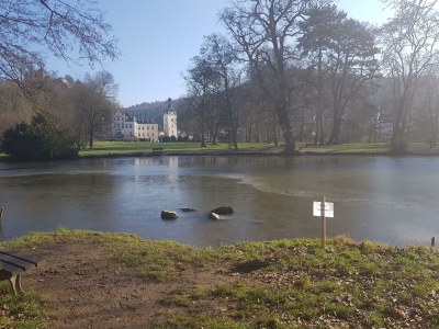 Apartment Appartement/Fewo, Dusche, WC, neuwertig - Outdoor photo 21