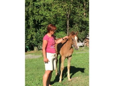 Apartment Wood Cube de Luxe - Draucamping Sachsenburg - Outdoor photo 62