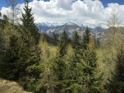 Apartment Wood Cube de Luxe - Draucamping Sachsenburg - Outdoor photo 71