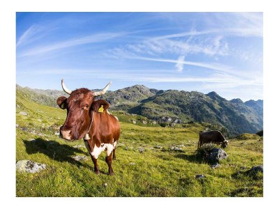 Apartment Wood Cube de Luxe - Draucamping Sachsenburg - Outdoor photo 79