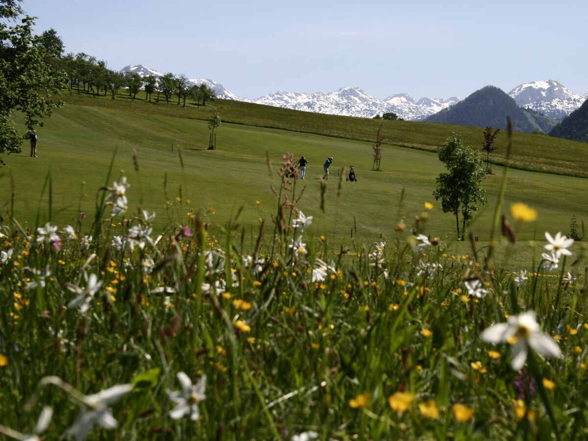 Holiday apartment Ferienwohnung Dachstein - Outdoor photo 4
