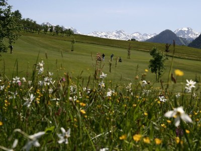 Holiday apartment Ferienwohnung Dachstein - Outdoor photo 4