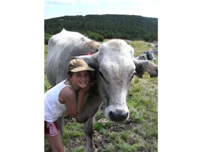 Holiday apartment Ferienwohnung Dachstein - Outdoor photo 6