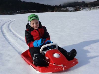 Holiday apartment Ferienwohnung Dachstein - Outdoor photo 14