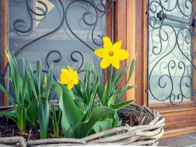 Holiday apartment Ferienwohnung Dachstein - Outdoor photo 29