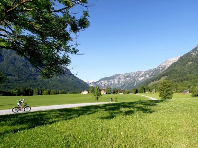 Holiday apartment Ferienwohnung Dachstein - Outdoor photo 49