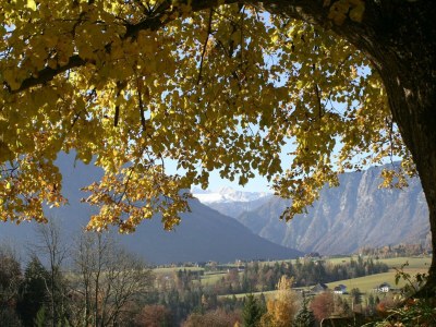 Holiday apartment Ferienwohnung Dachstein - Outdoor photo 50