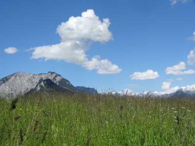 Holiday apartment Ferienwohnung Dachstein - Outdoor photo 52