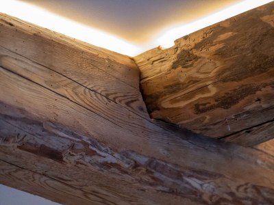 Holiday apartment Ferienwohnung Dachstein - Outdoor photo 55