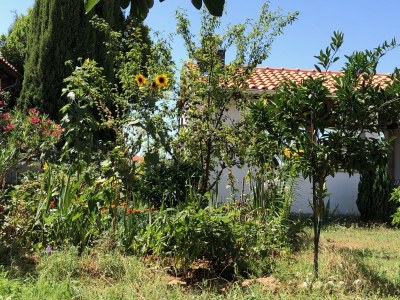 Holiday apartment Drago Medulin - Outdoor photo 5