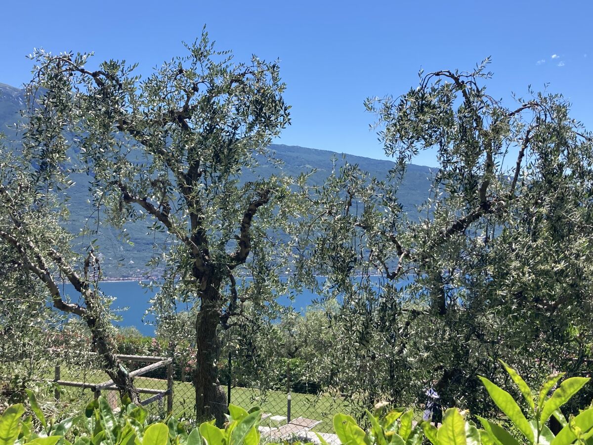 Holiday apartment Suite Perlago - Outdoor photo 5