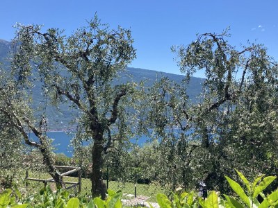 Holiday apartment Suite Perlago - Outdoor photo 5