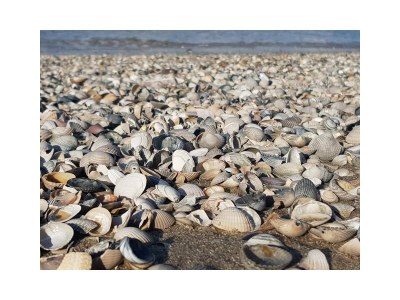 Holiday apartment Stulpje - Environment photo 30