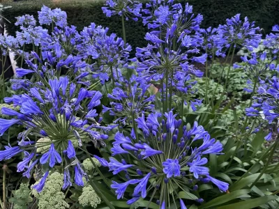 Holiday apartment Fewo Höflich Hermann 2 - Environment photo 11