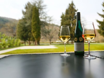 Apartment BÄÄNG - Features photo 11