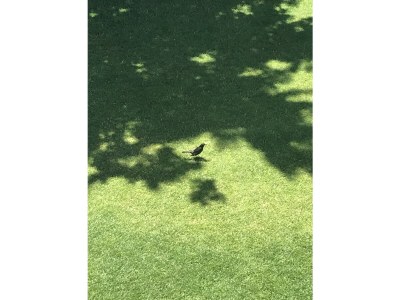 Apartment Schlossberg - Outdoor photo 13