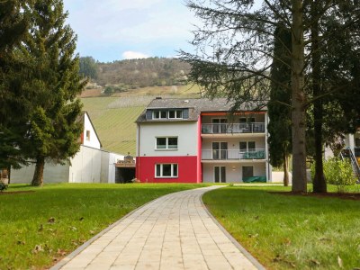 Apartment NECTO II in Traben-Trarbach - Apartment