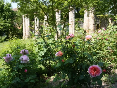 Holiday house Vicinia with garden in the castle - Outdoor photo 17